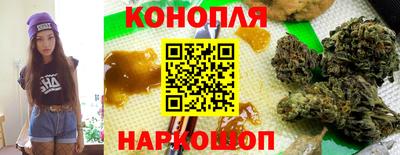 тгк Новокубанск