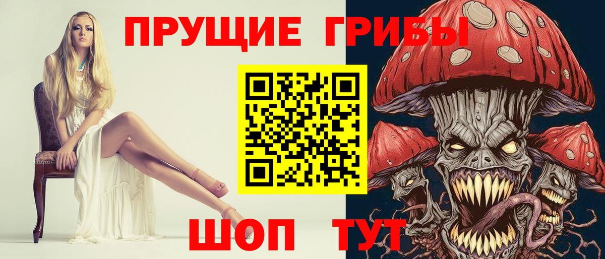 Псилоцибиновые грибы GOLDEN TEACHER  продажа наркотиков  Химки  Вход с VPN 