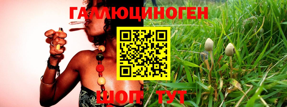 Псилоцибиновые грибы Magic Shrooms Химки